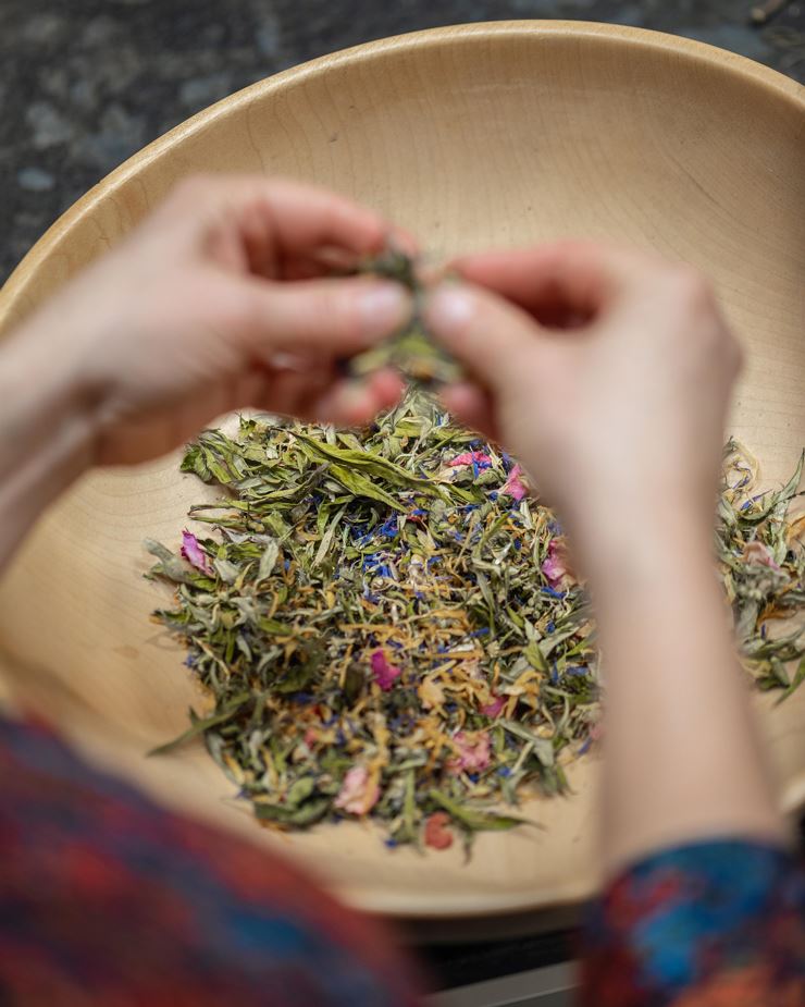 Kräuterpower macht winterfit